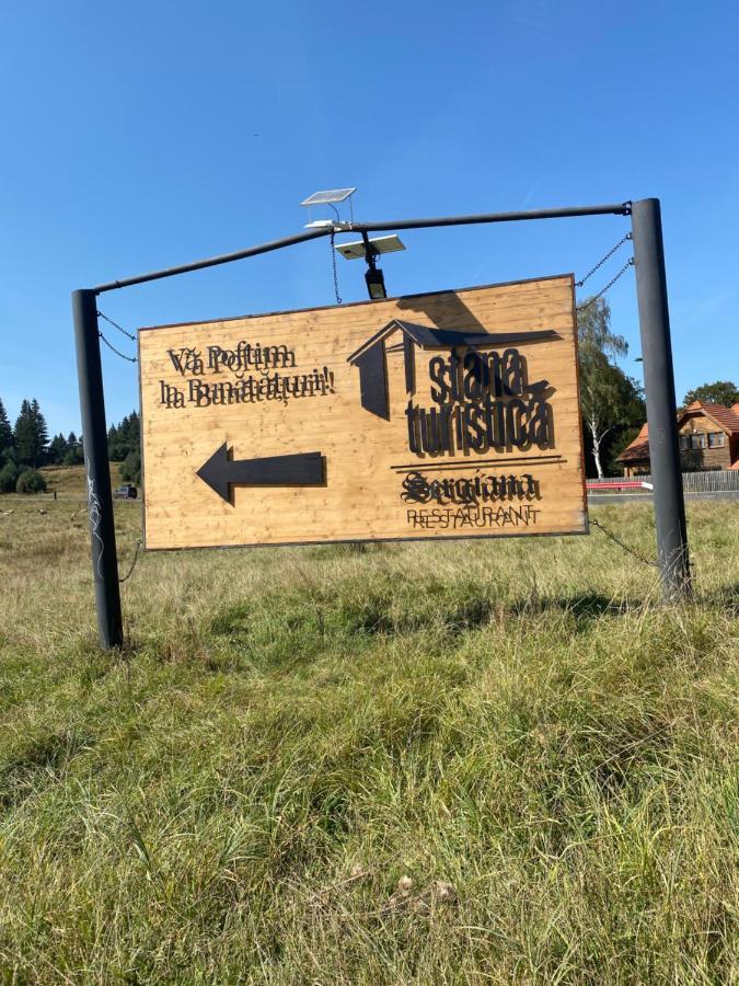 Ferienwohnung Pentahouse Mountain Belle Vue Poiana Brașov Exterior foto